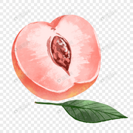 17c高清APP应用